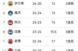开云体育中国-NBA复赛计划未定热火场均得分高达分的简单介绍