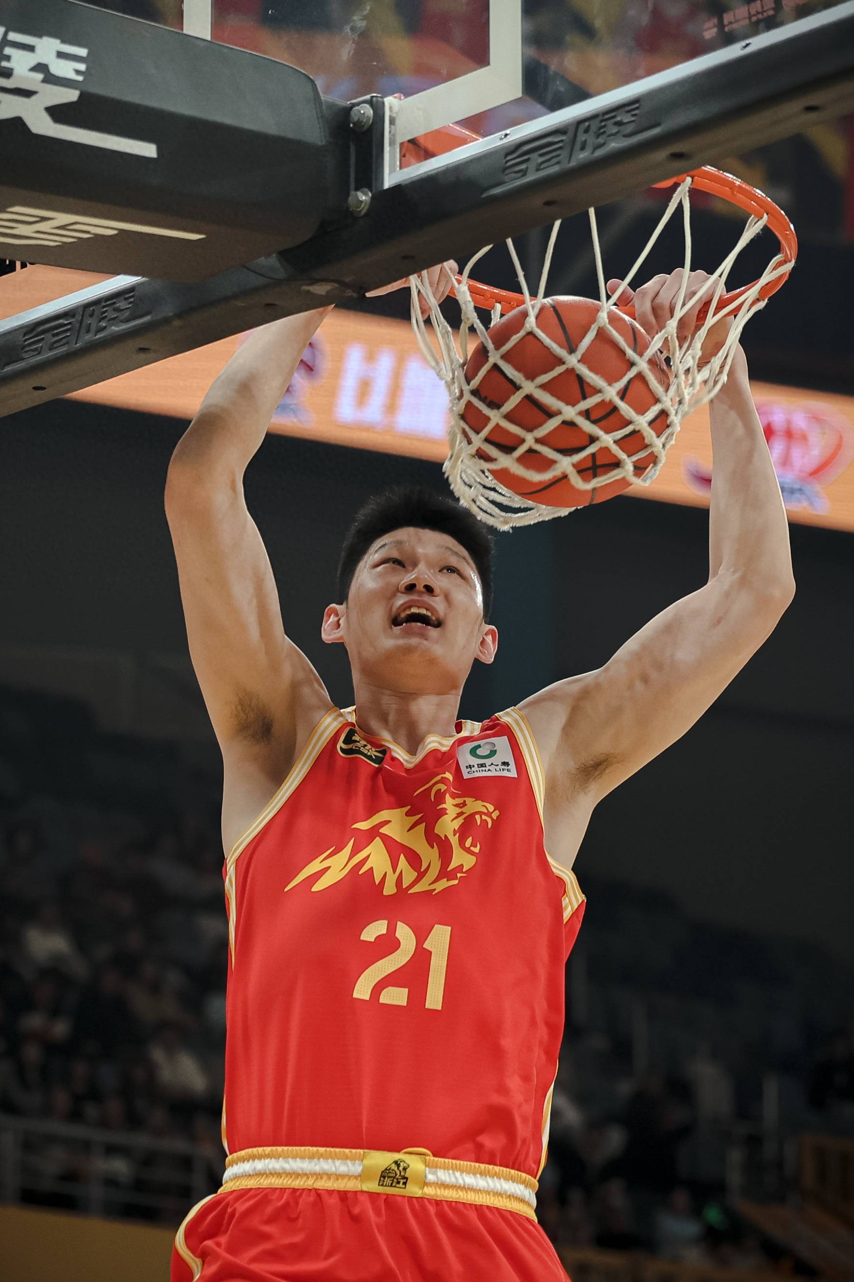 浙江队实力凸显，下一场坚持拼搏取胜？的简单介绍