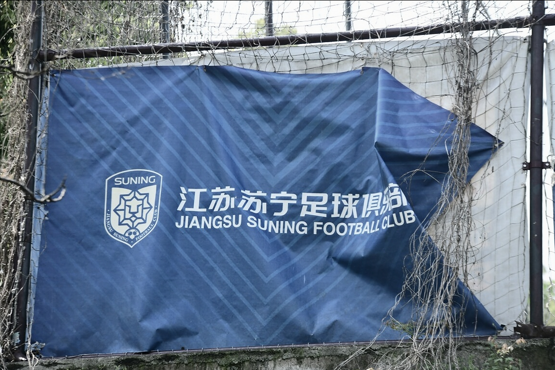 关于山东鲁能客场逼平江苏苏宁，继续保持不败的信息