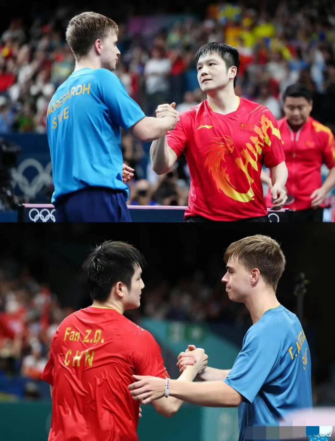 包含德国乒乓球队血洗韩国乒乓球队,樊振东送出助攻的词条 包含德国乒乓球队血洗韩国乒乓球队,樊振东送出助攻的词条