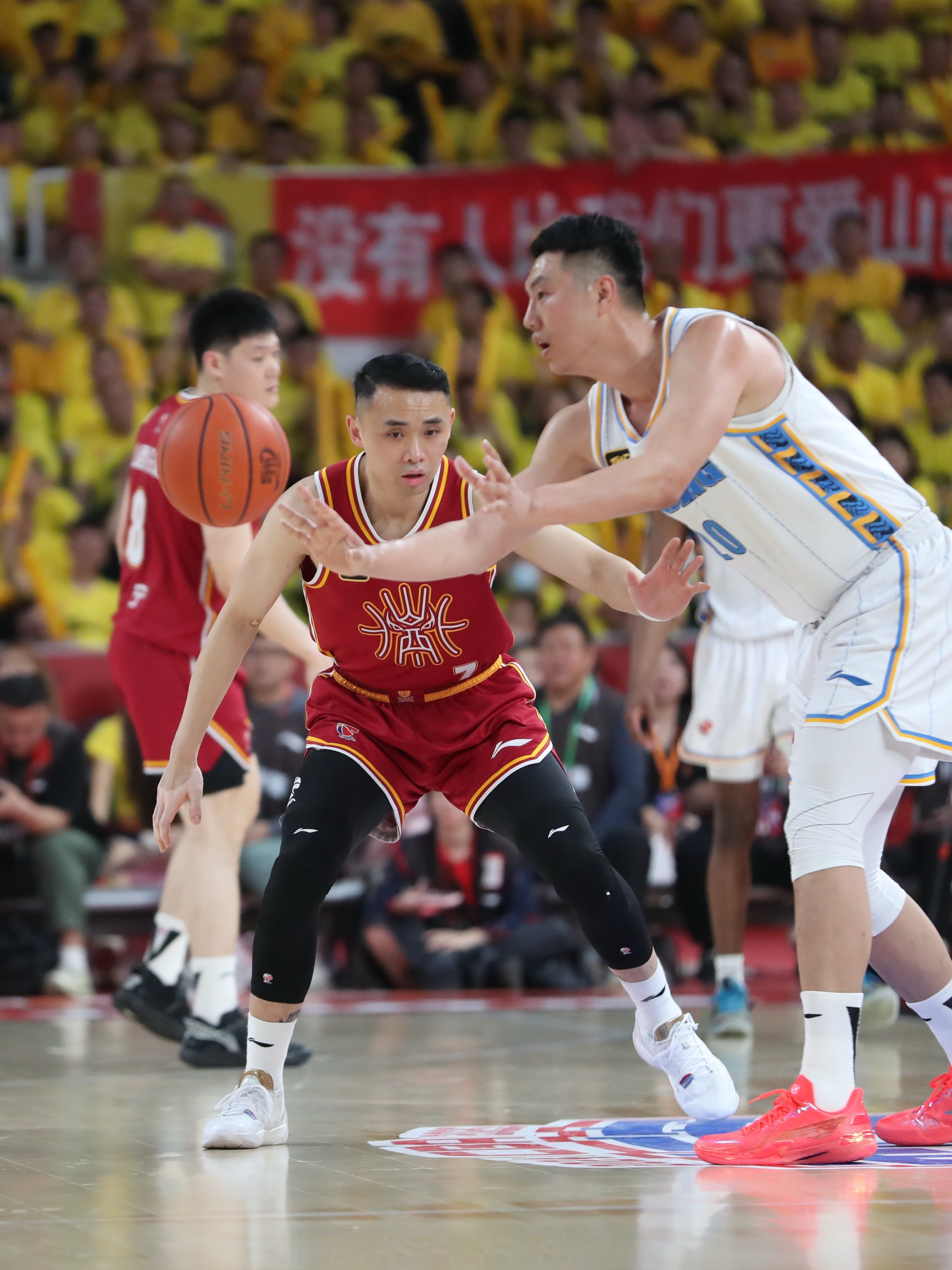 包含山东队完胜山西队，武切维奇统治全场的词条