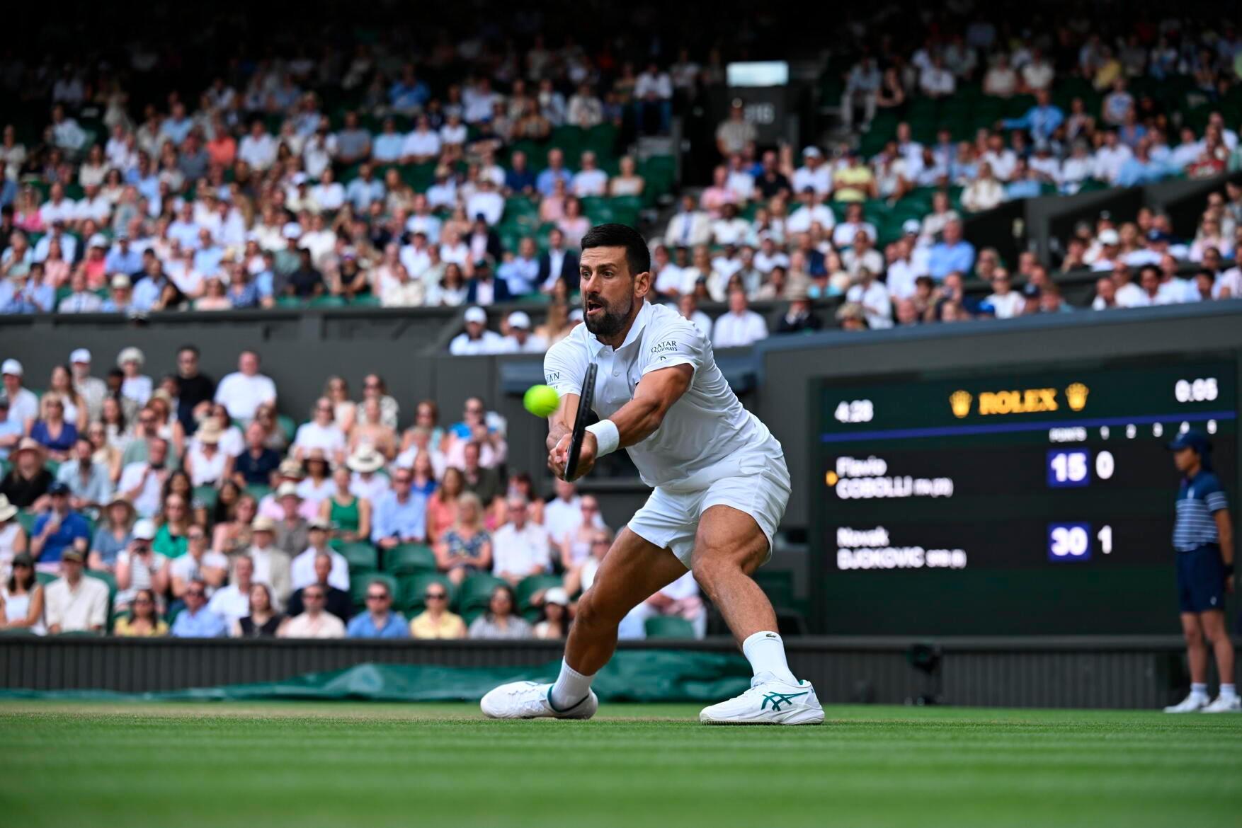 包含温网完胜美网，德约科维奇统治全场的词条